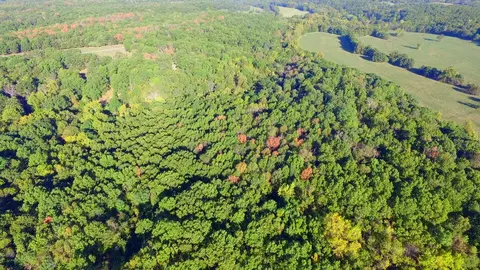 000 Elkhorn Rd, Stella, MO 64867 photo 9