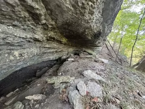 0 9 Ac Eagle Nest Ln, Noel, MO 64854 photo 10