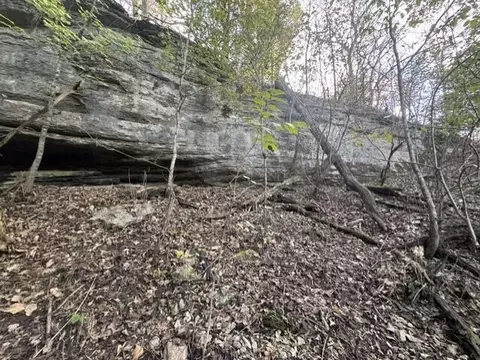 0 9 Ac Eagle Nest Ln, Noel, MO 64854 photo 12
