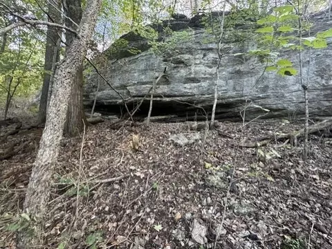 0 9 Ac Eagle Nest Ln, Noel, MO 64854 photo 11