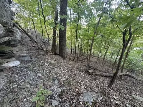 0 9 Ac Eagle Nest Ln, Noel, MO 64854 photo 9