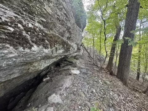 0 9 Ac Eagle Nest Ln, Noel, MO 64854 photo 8