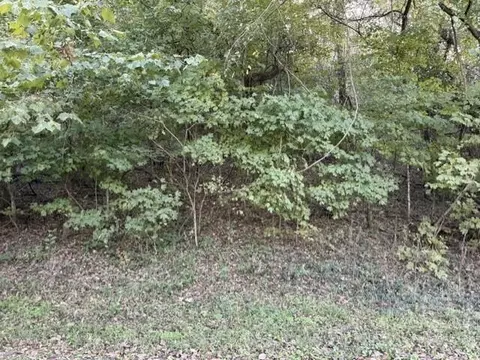 0 9 Ac Eagle Nest Ln, Noel, MO 64854 photo 6