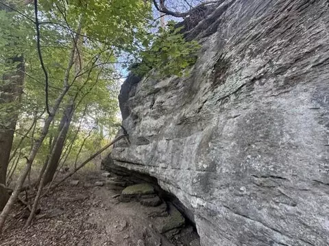 0 9 Ac Eagle Nest Ln, Noel, MO 64854 photo 7