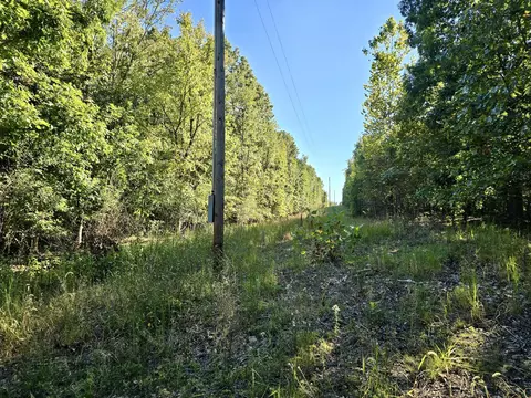 19728 Highway Nn, Mountain View, MO 65548 photo 7