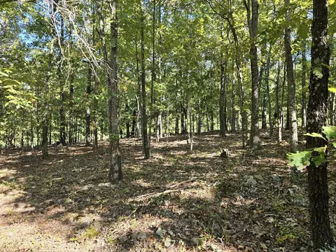 19728 Highway Nn, Mountain View, MO 65548 photo 9