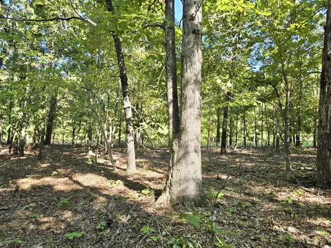 19728 Highway Nn, Mountain View, MO 65548 photo 8