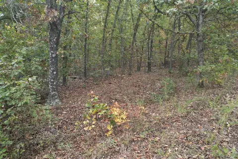 113 Ridge Trail Rd, Tunas, MO 65764 photo 22