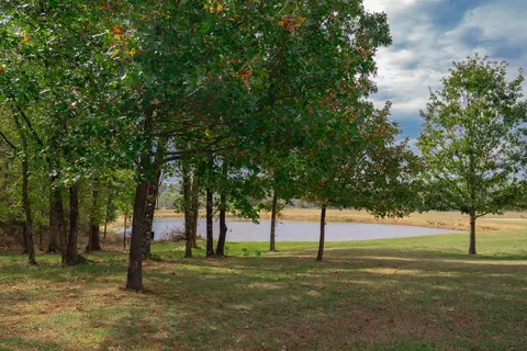 Other - 338 E 420th Rd, Fair Play, MO 65649 photo 14 of 16