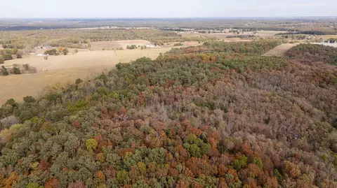 000 Cattail Rd, Phillipsburg, MO 65722 photo 46