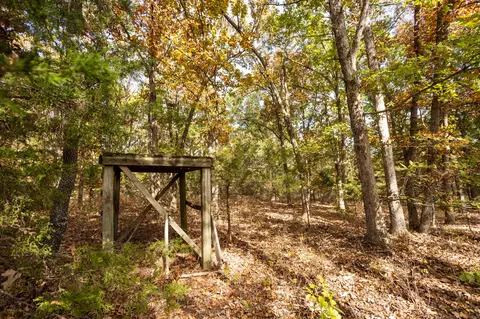 000 Cattail Rd, Phillipsburg, MO 65722 photo 32