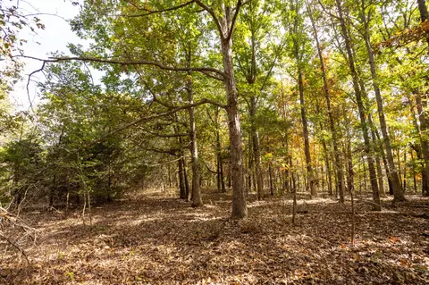 000 Cattail Rd, Phillipsburg, MO 65722 photo 35