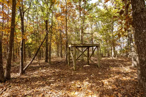 000 Cattail Rd, Phillipsburg, MO 65722 photo 37