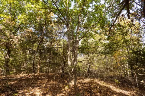 000 Cattail Rd, Phillipsburg, MO 65722 photo 36