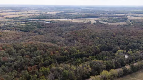000 Cattail Rd, Phillipsburg, MO 65722 photo 48