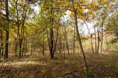 000 Cattail Rd, Phillipsburg, MO 65722 photo 30