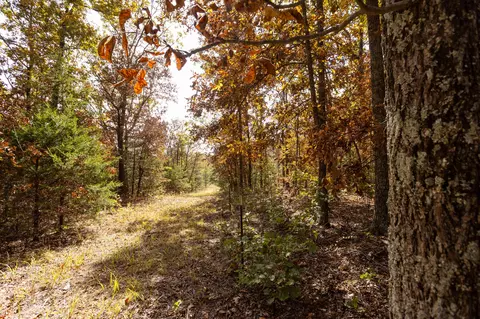 000 Cattail Rd, Phillipsburg, MO 65722 photo 41