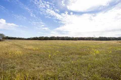 000 Cattail Rd, Phillipsburg, MO 65722 photo 12