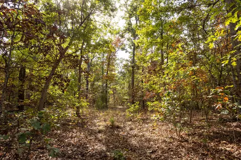 000 Cattail Rd, Phillipsburg, MO 65722 photo 39