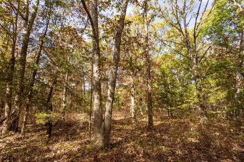 000 Cattail Rd, Phillipsburg, MO 65722 photo 33