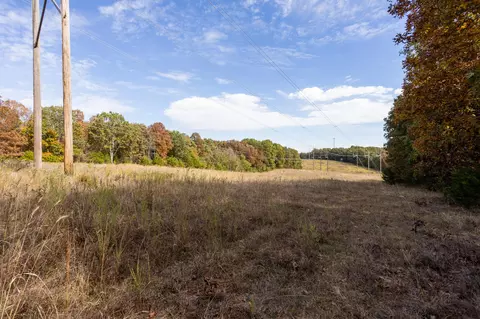 000 Cattail Rd, Phillipsburg, MO 65722 photo 25