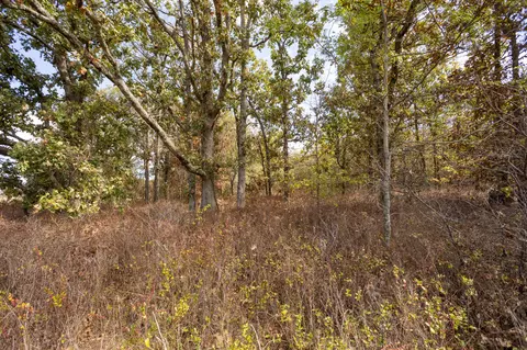 000 Cattail Rd, Phillipsburg, MO 65722 photo 28