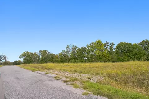 000 Five Brothers Rd, Protem, MO 65733 photo 11