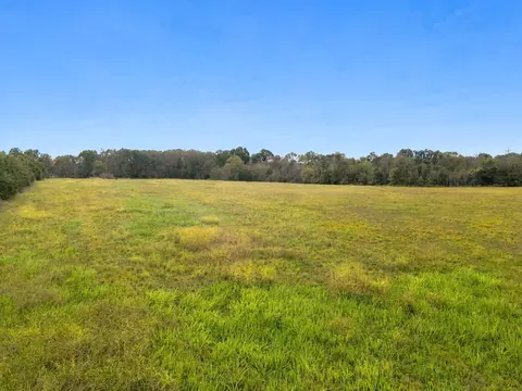 000 Five Brothers Rd, Protem, MO 65733 photo 14