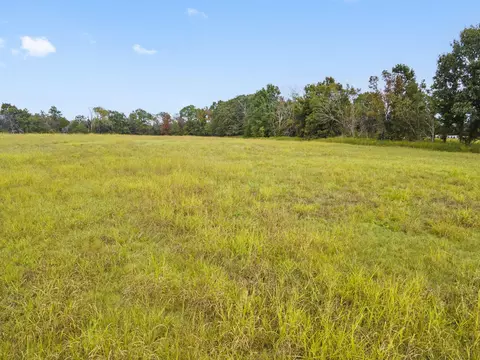 000 Five Brothers Rd, Protem, MO 65733 photo 17