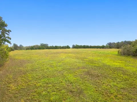 000 Five Brothers Rd, Protem, MO 65733 photo 13