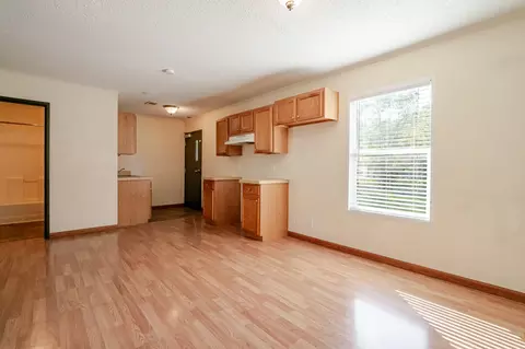 Living - 3715 Farm Road 2190, Exeter, MO 65647 photo 6 of 6