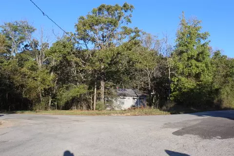 536 Co Rd 513, Gainesville, MO 65655 photo 2