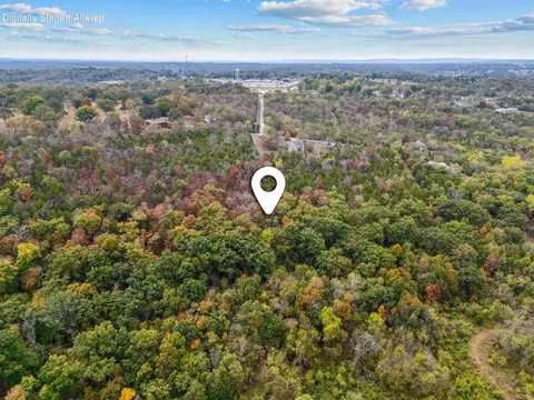 000 Rocky Ridge Ln, Forsyth, MO 65653 photo 11
