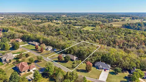 View/Area - 3502 N Bobwhite Dr, Ozark, MO 65721 photo 4 of 5