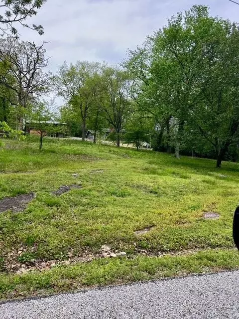 Other - 27157 Walnut Dr, Eagle Rock, MO 65641 photo 3 of 5