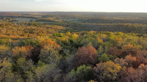 000 S 90th Rd, Flemington, MO 65650 photo 4