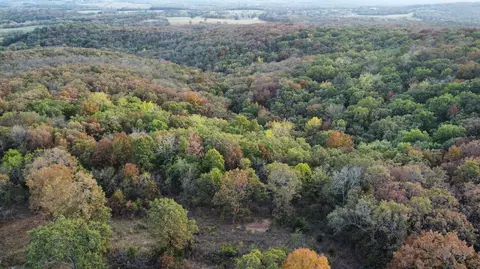 000 S 90th Rd, Flemington, MO 65650 photo 19
