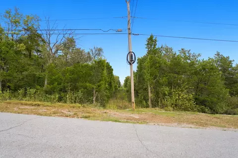 220 Elizabeth Dr, Branson, MO 65616 photo 13