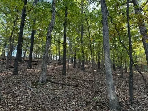 tbd Us Hwy 65, Walnut Shade, MO 65771 photo 3