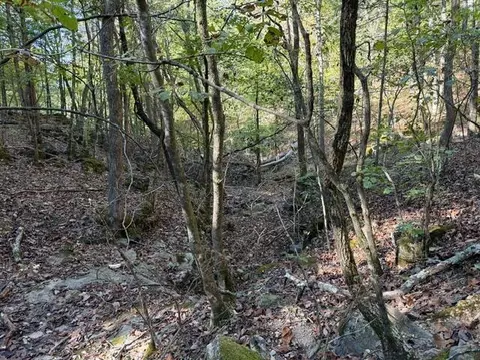 tbd Us Hwy 65, Walnut Shade, MO 65771 photo 17