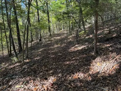 tbd Us Hwy 65, Walnut Shade, MO 65771 photo 8