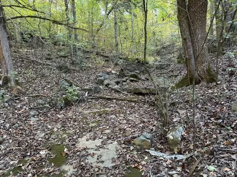 tbd Us Hwy 65, Walnut Shade, MO 65771 photo 12