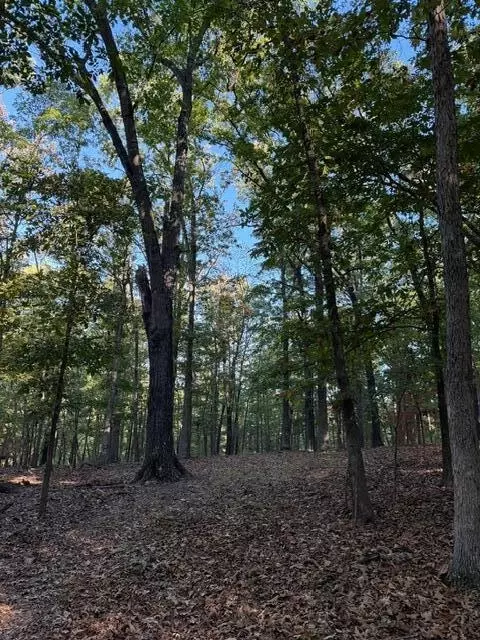 tbd Us Hwy 65, Walnut Shade, MO 65771 photo 5