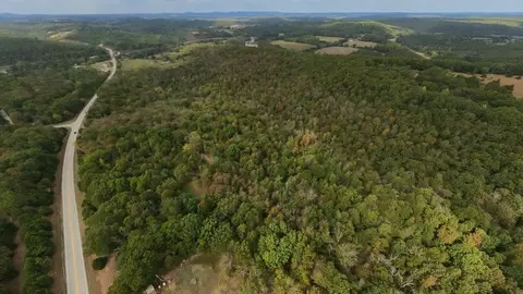 Other - 31593 Us Highway 160, Tecumseh, MO 65760 photo 3 of 15