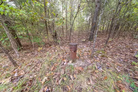 Other - 31593 Us Highway 160, Tecumseh, MO 65760 photo 14 of 15