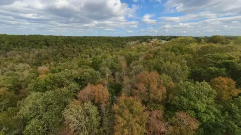 Other - 31593 Us Highway 160, Tecumseh, MO 65760 photo 5 of 15