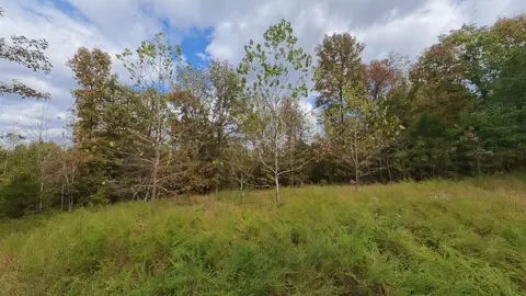 Other - 31593 Us Highway 160, Tecumseh, MO 65760 photo 6 of 15