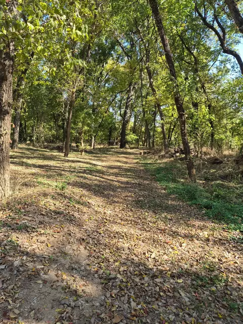 285 Rivercrest Ln, Noel, MO 64854 photo 10