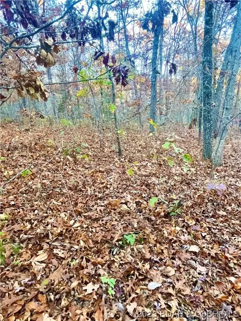 lot164 Illinois Ln, Rocky Mount, MO 65072
