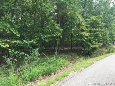 448 Pier Thirty-one Rd, Camdenton, MO 65020